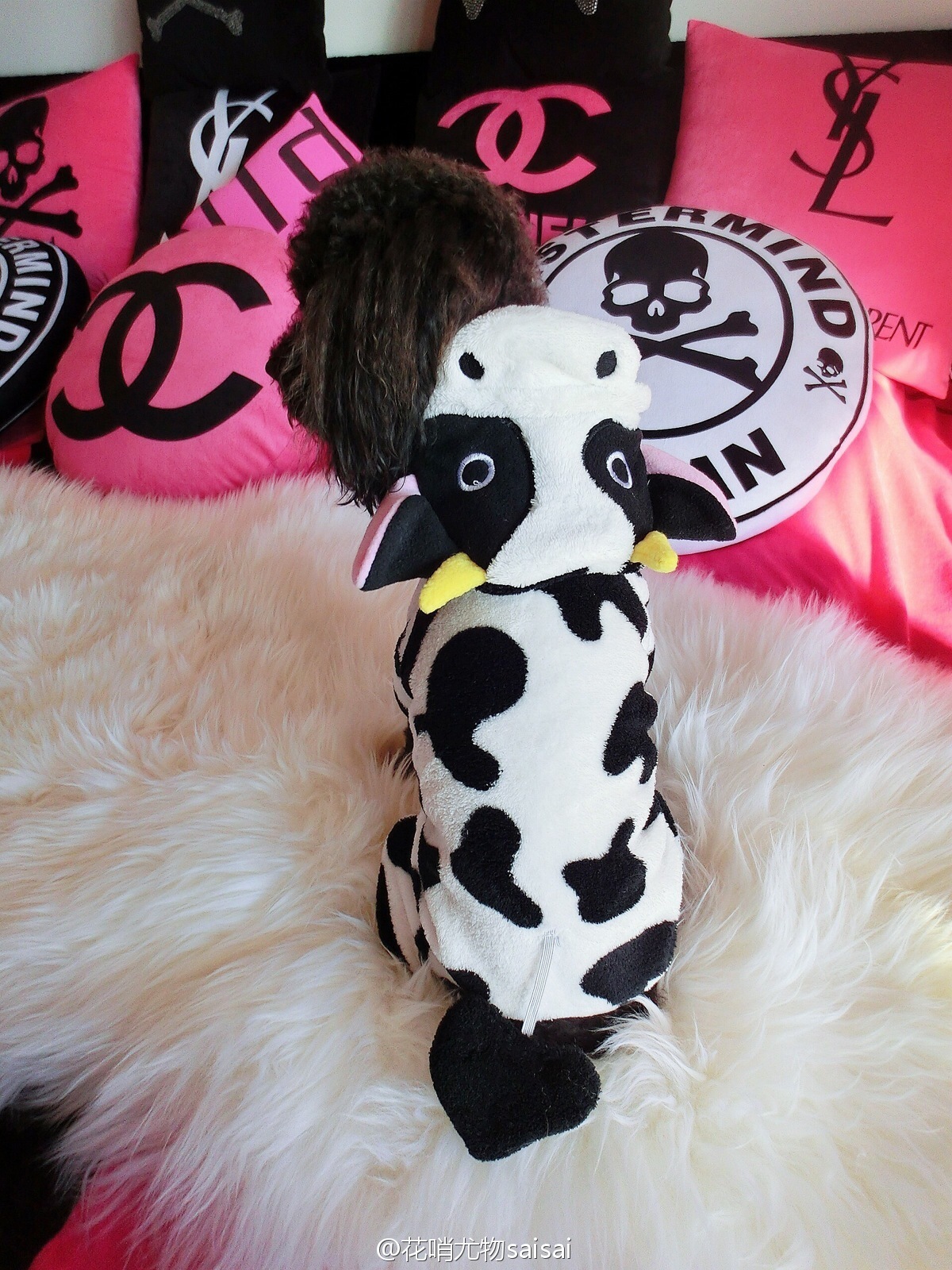 花哨尤物saisai的微博列表微女郎